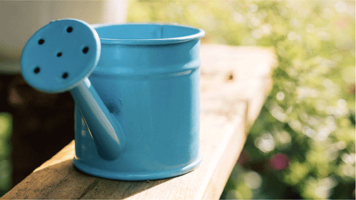 WateringCan